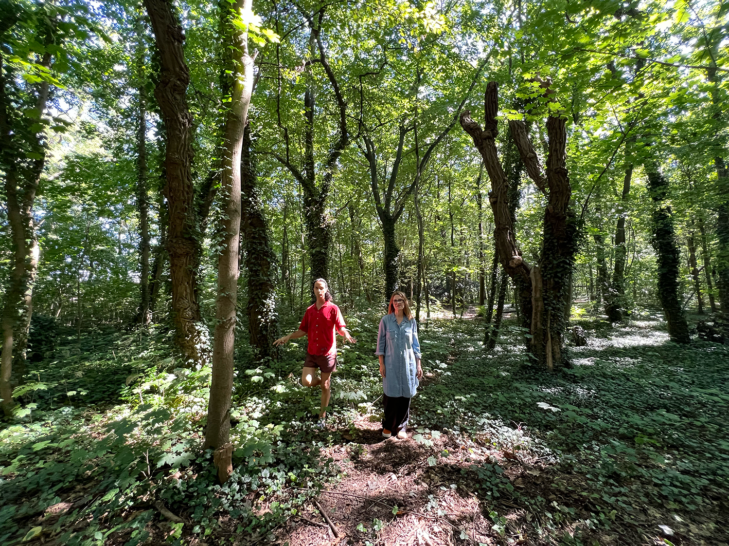 HTLE_DREAM_Forest_5615
